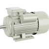 động cơ motor điện 1 pha 220V